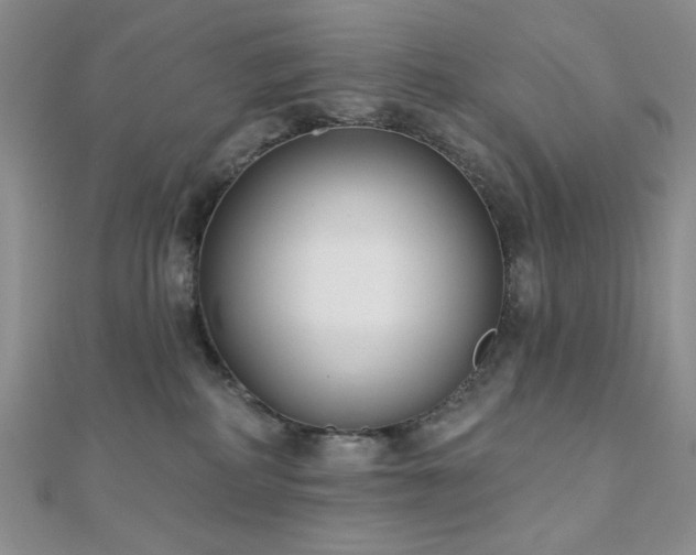 X0000110920234200906181415