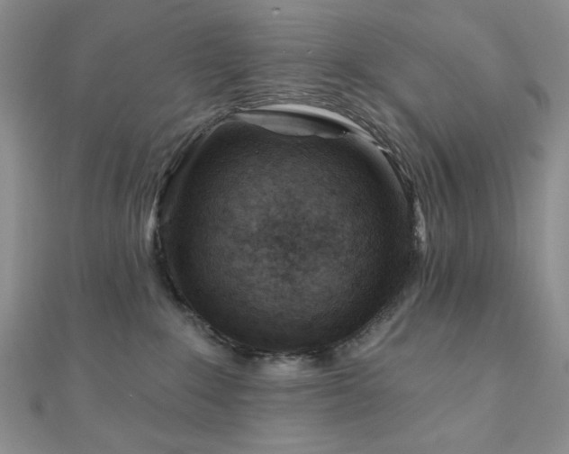 X0000110920235200906181415