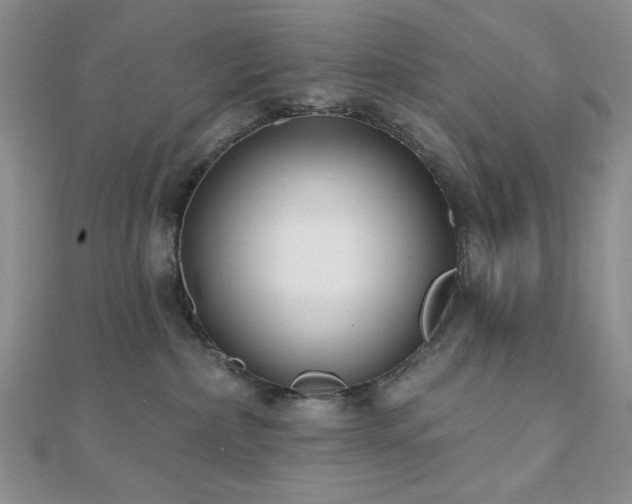 X0000110920236200906181415