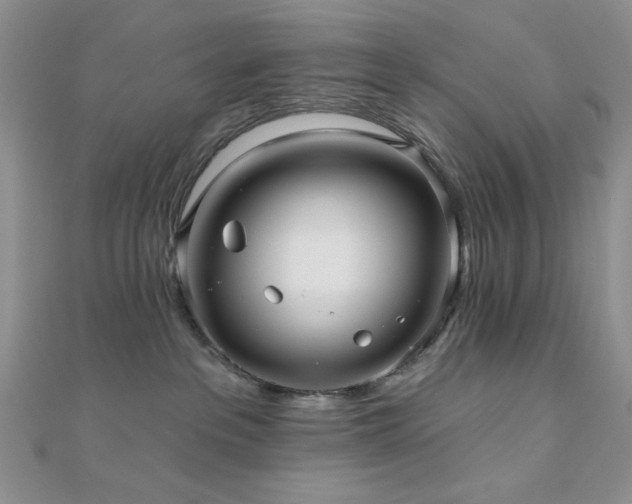 X0000110920237200906181415
