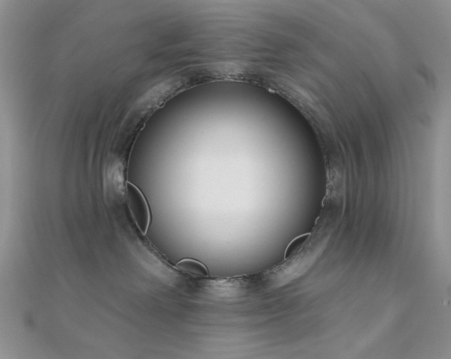X0000110920238200906181415