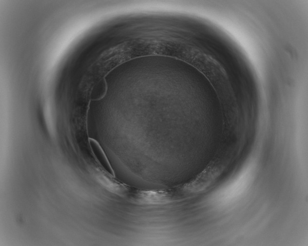 X0000110920239200906181415