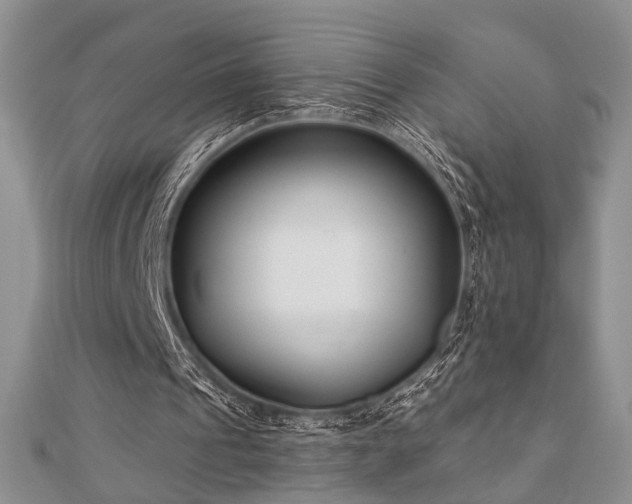 X0000110920241200906181414