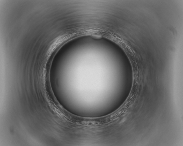 X0000110920242200906181414