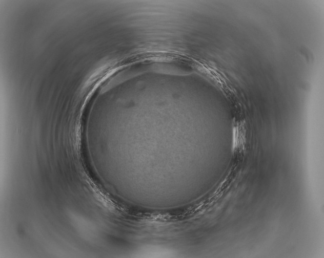X0000110920243200906181414