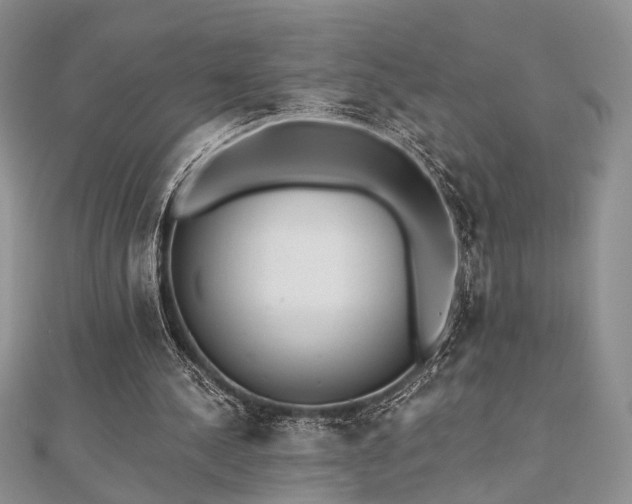 X0000110920244200906181414