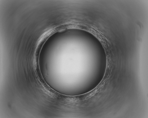 X0000110920245200906181414