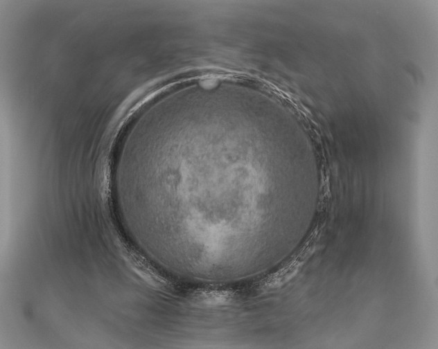 X0000110920247200906181414