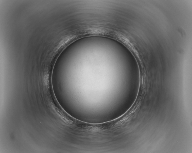 X0000110920249200906181414