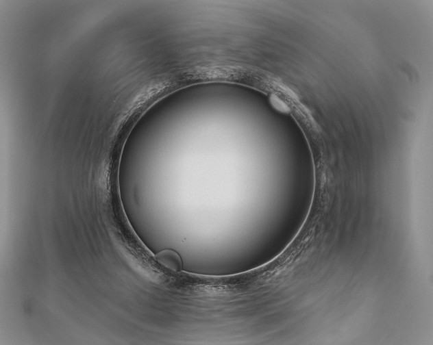 X0000110920250200906181414