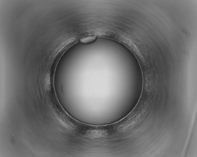 X0000110920251200906181414