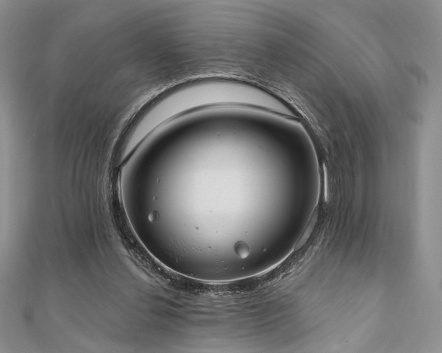 X0000110920252200906181414