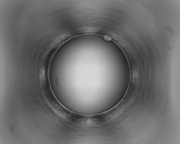 X0000110920254200906181414