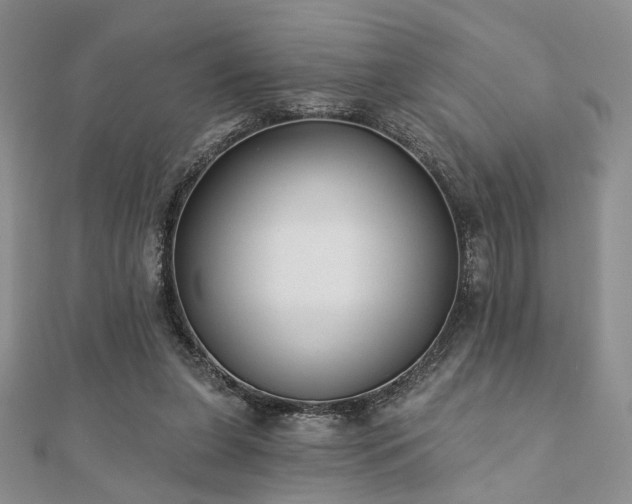X0000110920255200906181414