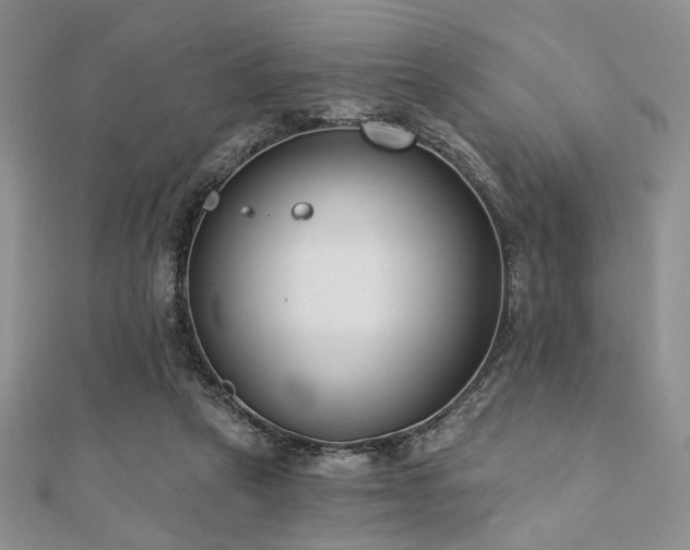 X0000110920257200906181415