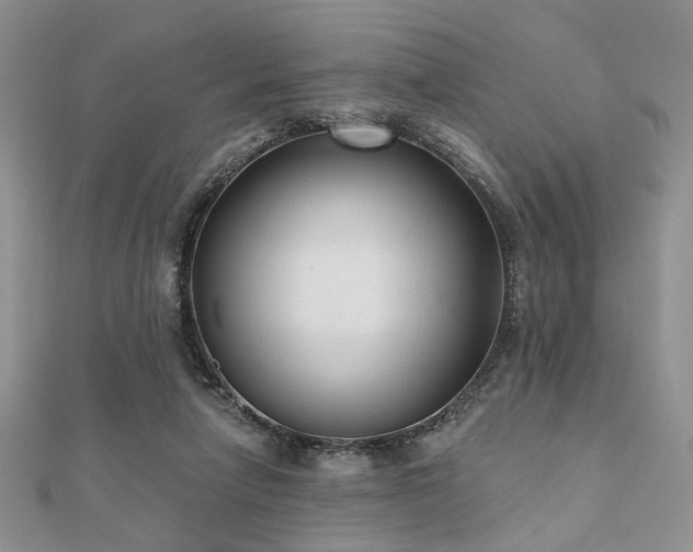 X0000110920258200906181415
