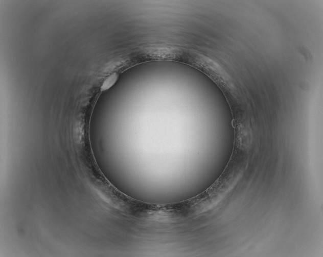 X0000110920259200906181415