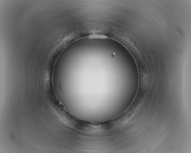 X0000110920260200906181415