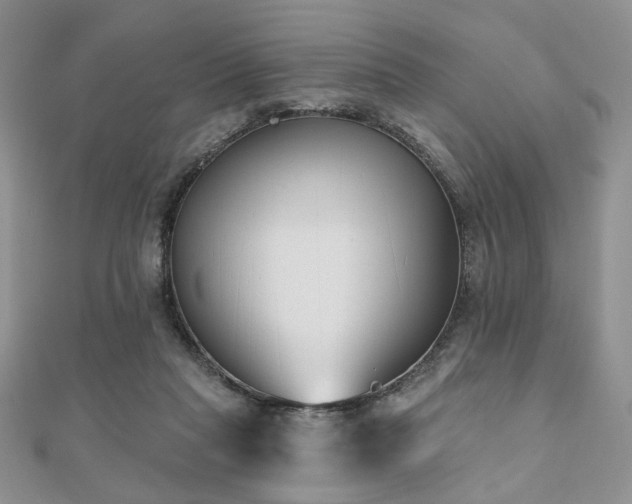 X0000110920261200906181415