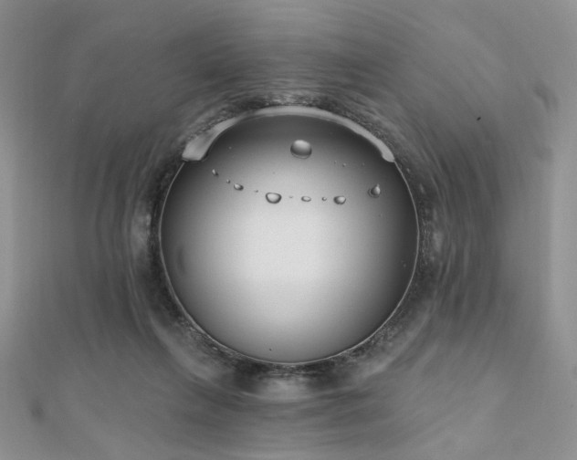 X0000110920263200906181415