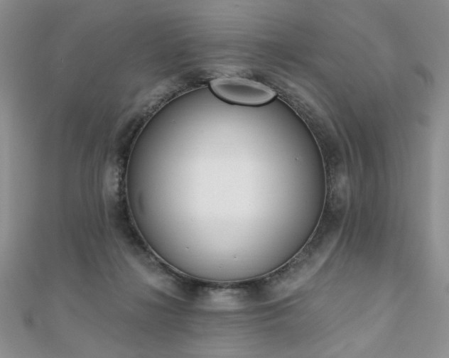 X0000110920268200906181415