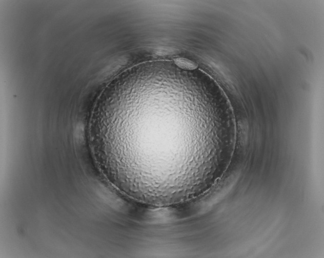 X0000110920269200906181415