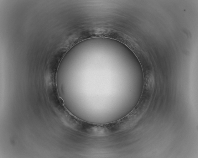 X0000110920272200906181415