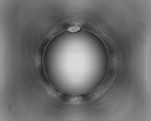 X0000110920274200906181415