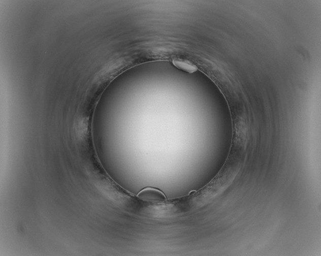 X0000110920278200906181415