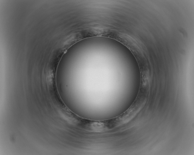 X0000110920279200906181415