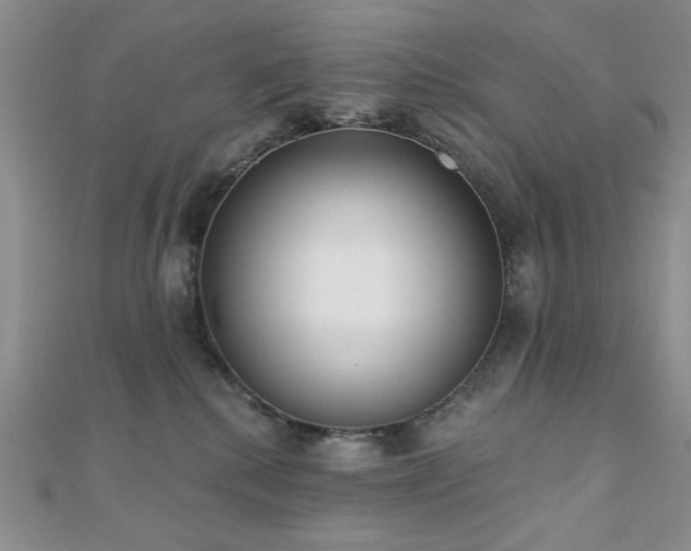 X0000110920280200906181415