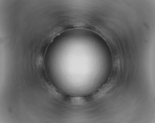 X0000110920281200906181415