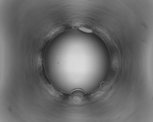 X0000110920282200906181415