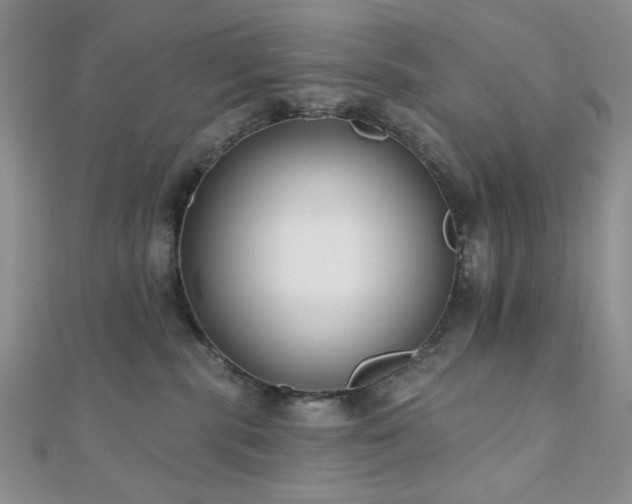 X0000110920283200906181415