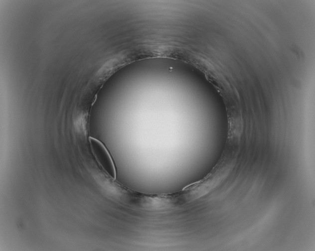 X0000110920286200906181415