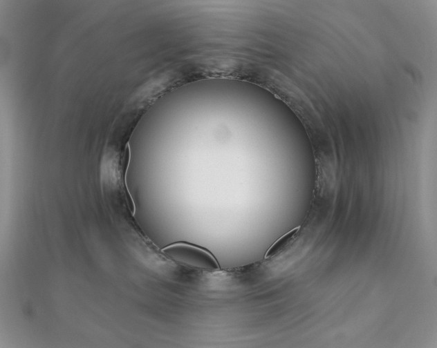 X0000110920287200906181415