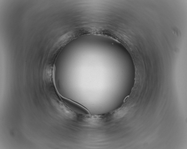 X0000110920288200906181415