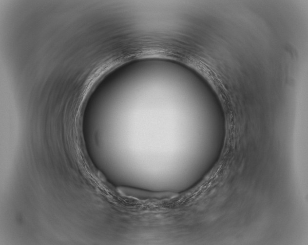 X0000110920289200906181414
