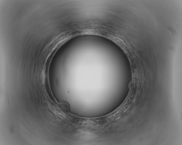 X0000110920290200906181414