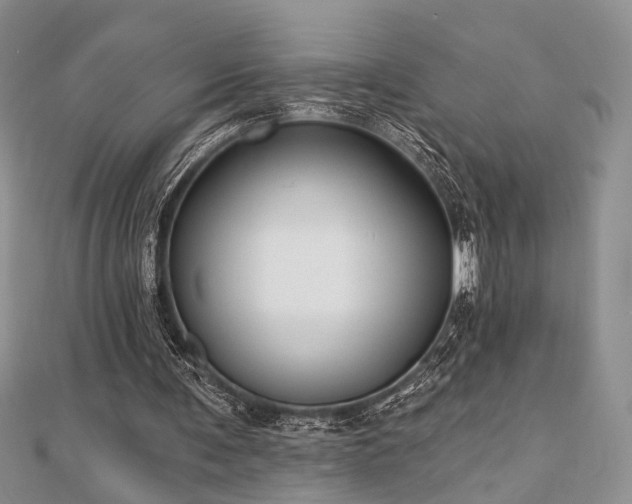 X0000110920291200906181414