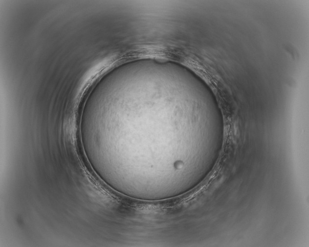 X0000110920293200906181414