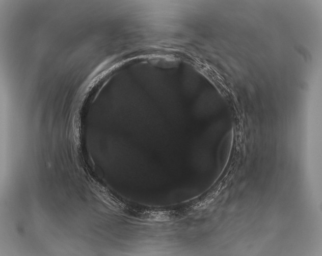 X0000110920295200906181414