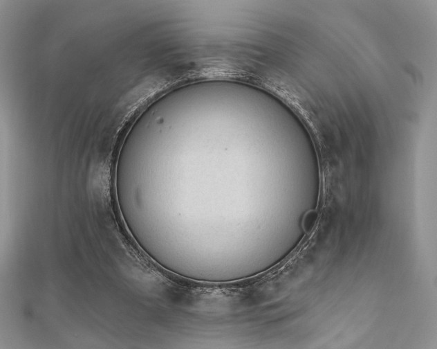 X0000110920297200906181414