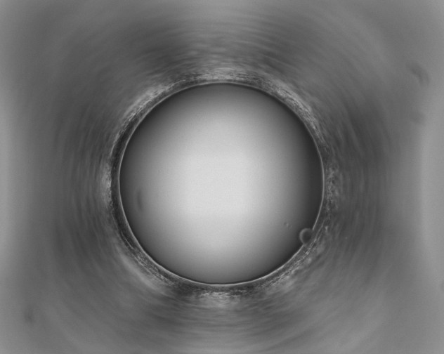 X0000110920298200906181414