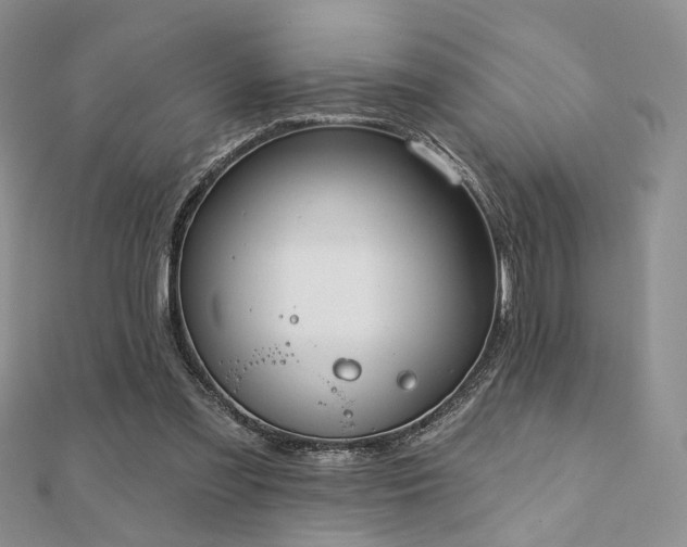 X0000110920301200906181414