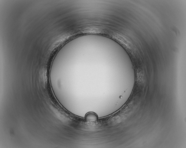 X0000110920302200906181414
