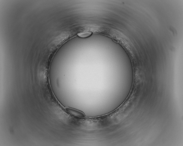 X0000110920305200906181414