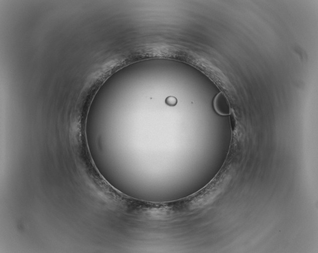 X0000110920306200906181414