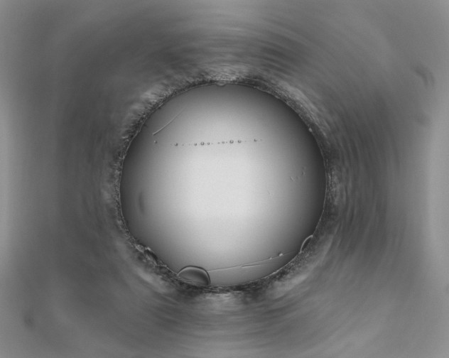 X0000110920307200906181414