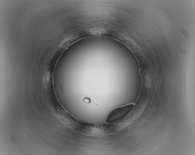 X0000110920308200906181414